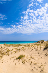 Sand dunes on Cala Sa Mesquida beach, Majorca island, Spain