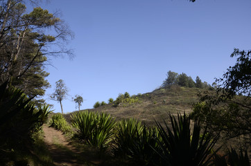 Monte Gordo (Sao Nicolau)