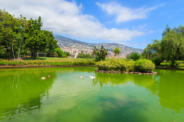 Fototapeta premium Lake in Santa Catarina park in Funchal city, Madeira island