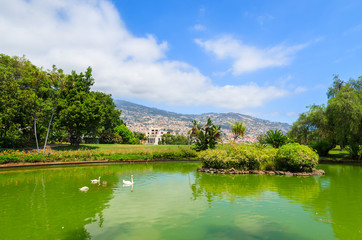 Lake in Santa Catarina park in Funchal city, Madeira island