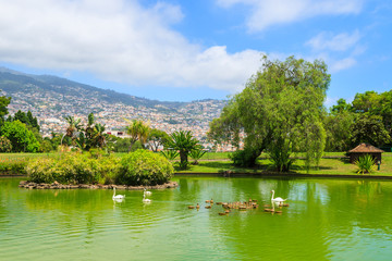Fototapeta na wymiar Lake in Santa Catarina park in Funchal city, Madeira island