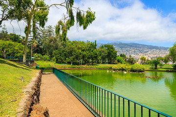 Lake in Santa Catarina park in Funchal city, Madeira island