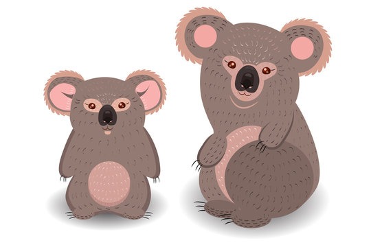 Koala mom and cub