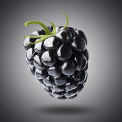 Blackberry Isolate on Black Background