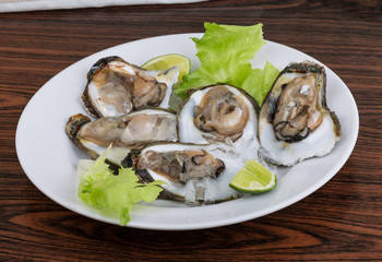 Fresh oyster