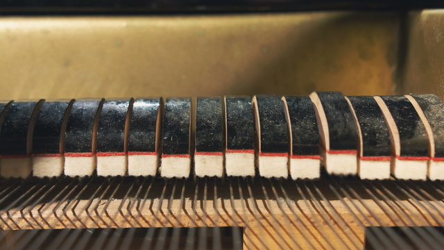 Details inside of grand piano