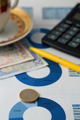 Euro coin placed on paper sheet with blue pie chart