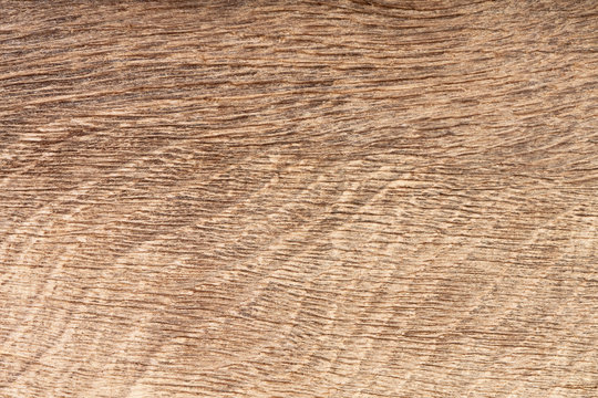 High resolution natural wood (bog oak) grain texture.