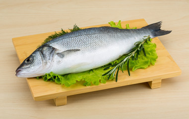 Raw seabass