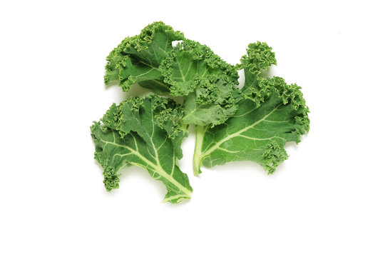 Kale leaves on white