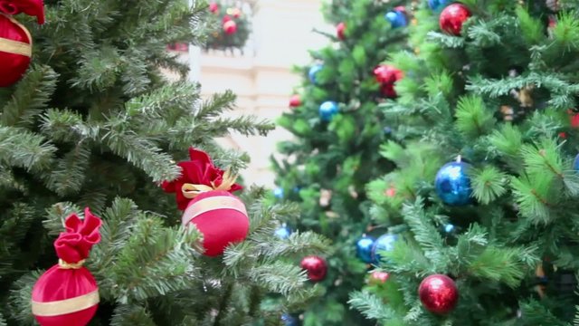 Colorful toy balls on branch of artificial fir-tree at shop
