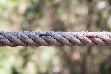 Knot in rope
