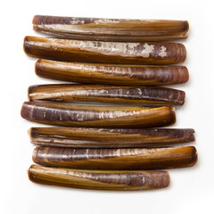 Razor Clams
