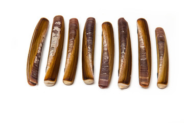 Razor Clams