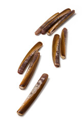 Razor Clams