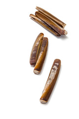 Razor Clams