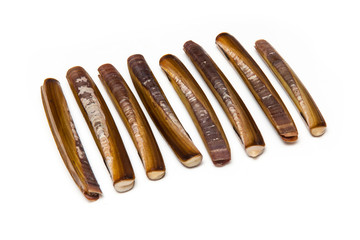 Razor Clams