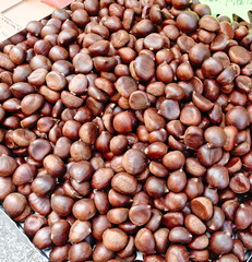 chestnut at market