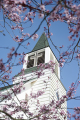Fototapeta na wymiar Church steeple with blossoms