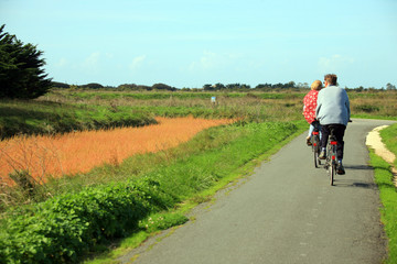 Obraz premium Francia,isola del Rè, gita in bicicletta.