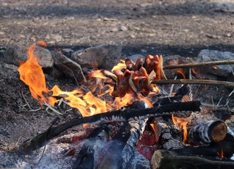Roast sausages over a fire in the wild.