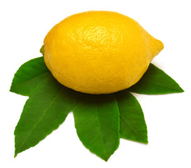 Lemon with leaves