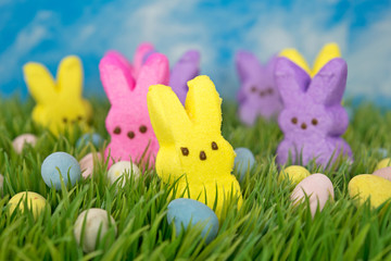 Easter eggs and bunny candy in grass