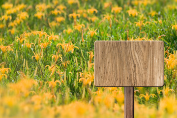Blank wooden sign