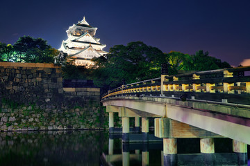 Obraz premium Osaka Castle