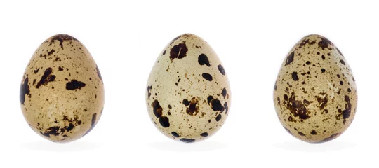 Fotobehang quail eggs isolated © chungking