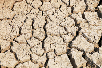 cracked clay ground into the dry season