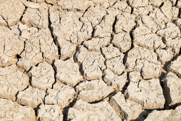 cracked clay ground into the dry season