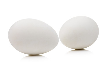 white eggs on a White Background