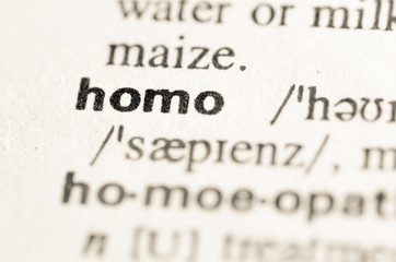 Obraz premium Dictionary definition of word homo