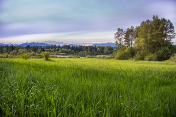 Obraz premium Landscape view