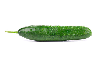 fresh cucumber