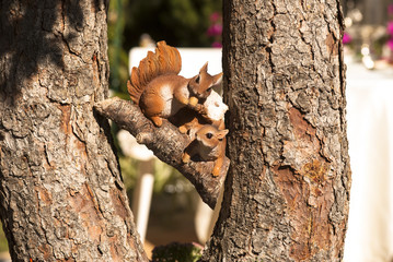 белки на дереве © denova0