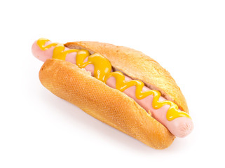 Tasty grilled hotdog