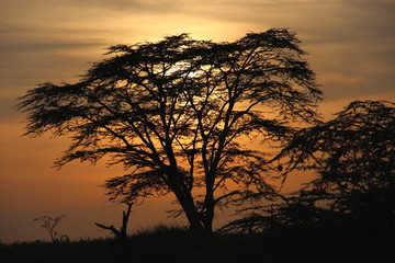 Fototapeta na wymiar sunset,Tanzania