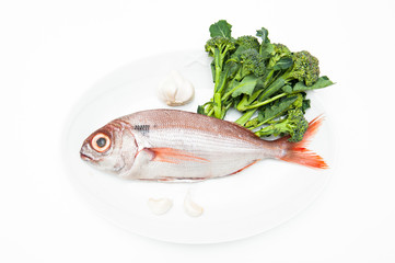 Pezzogna fish, variety of sea bream, with spice white background