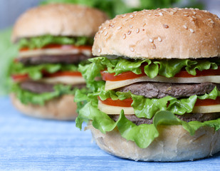 Hamburgers Burgers Cheeseburgers