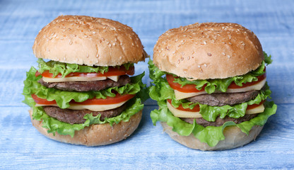 Hamburgers Burgers Cheeseburgers