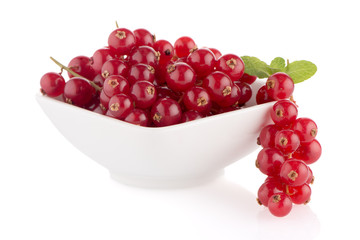 Red Currants