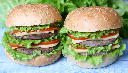 Hamburgers Burgers Cheeseburgers