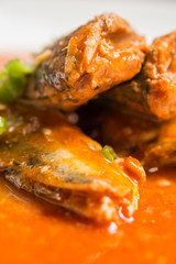 Canned fish in tomato sauce