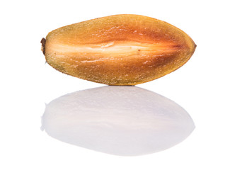 Sapodilla or Ciku fruit over white background