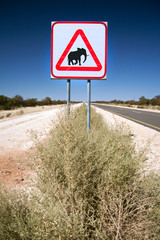 Elephant sign