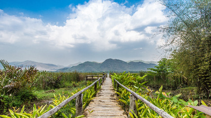 Bammboo bridge near reservoir with mountain and sky view