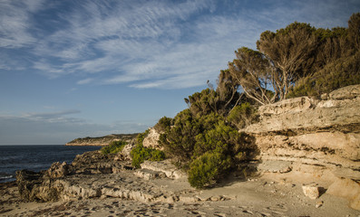 Erroded textured coastal cliffs with bush and clouds