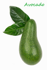 Avocado isolated on white background